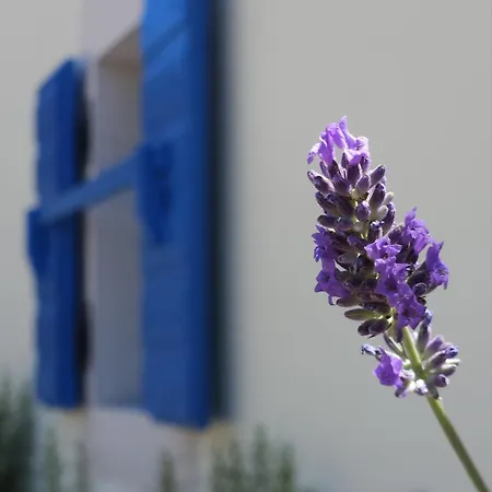 Appartement Antana Sveti Vid-Miholjice